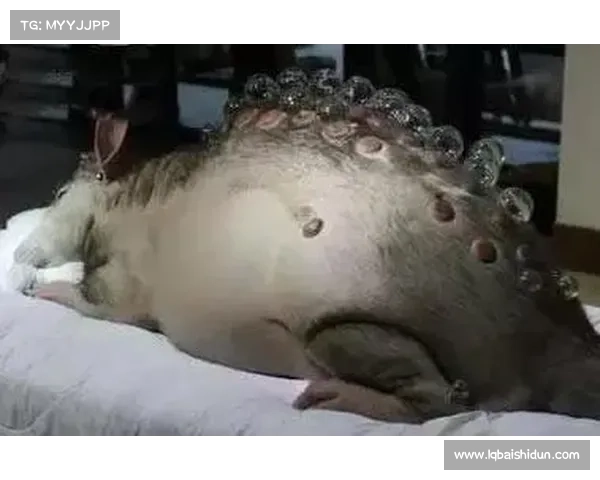 预防手机辐射伤害的有效方法