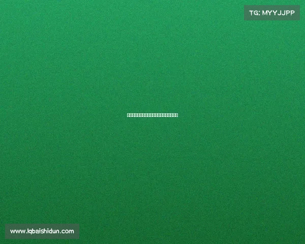 《黑发电竞梦:十载青春与热血的赛场征途》 《黑发电竞梦:十载青春与热血的赛场征途》